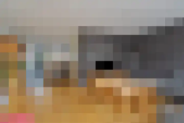 Aalscholverstraat 2 Goor thumbnail 11