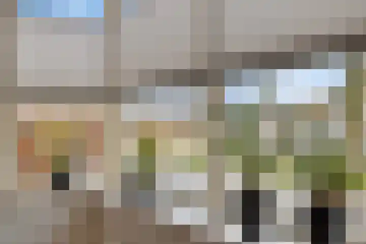 Aalscholverstraat 2 Goor thumbnail 13