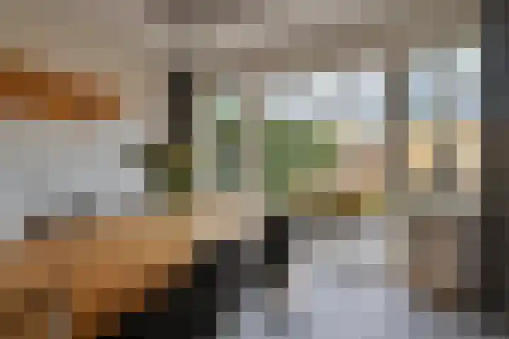 Aalscholverstraat 2 Goor thumbnail 18