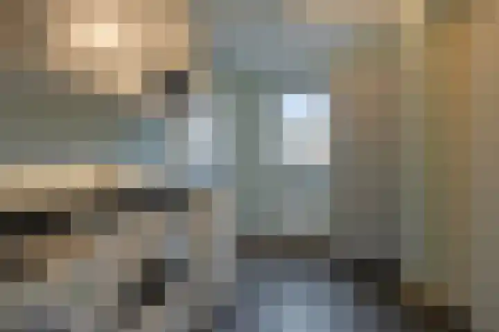 Aalscholverstraat 2 Goor thumbnail 19