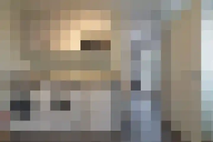 Aalscholverstraat 2 Goor thumbnail 20
