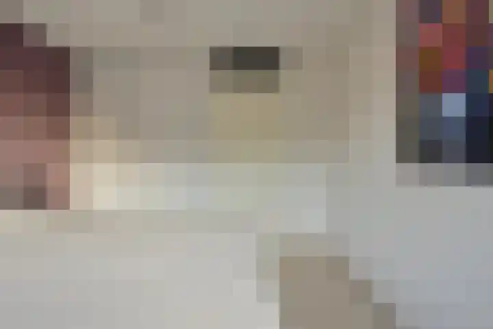 Aalscholverstraat 2 Goor thumbnail 24
