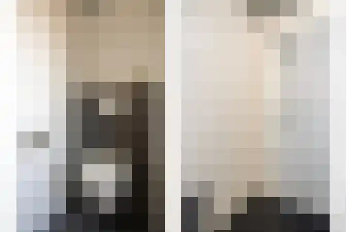 Aalscholverstraat 2 Goor thumbnail 27