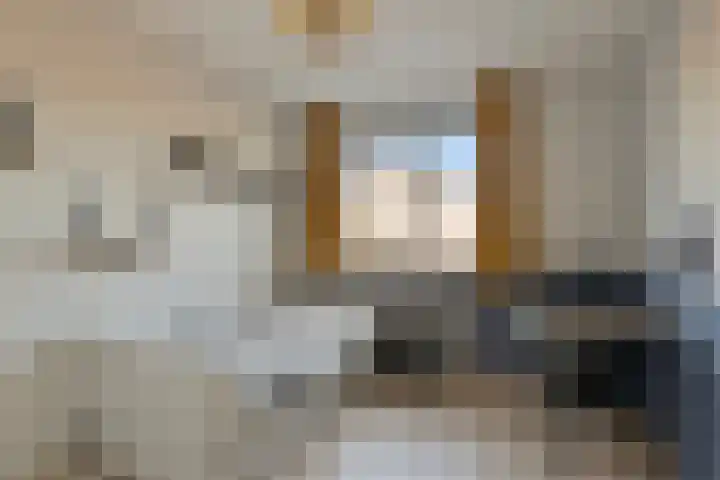 Aalscholverstraat 2 Goor thumbnail 28