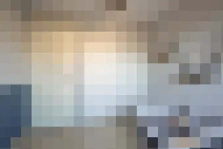 Aalscholverstraat 2 Goor thumbnail 29