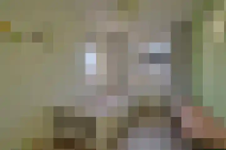 Aalscholverstraat 2 Goor thumbnail 30