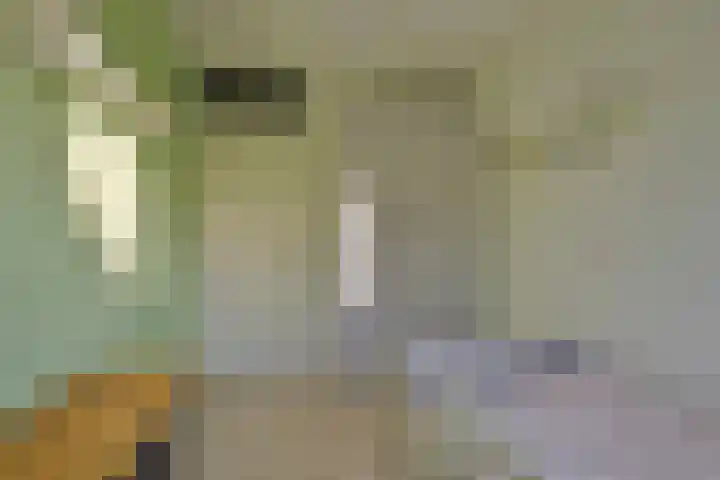 Aalscholverstraat 2 Goor thumbnail 31