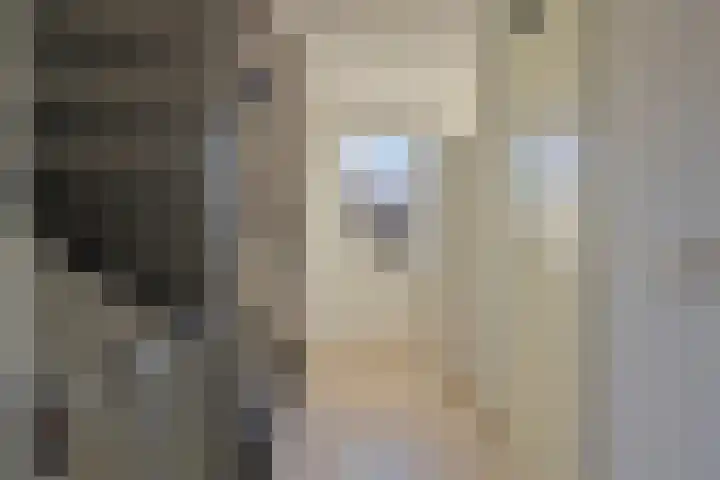 Aalscholverstraat 2 Goor thumbnail 32