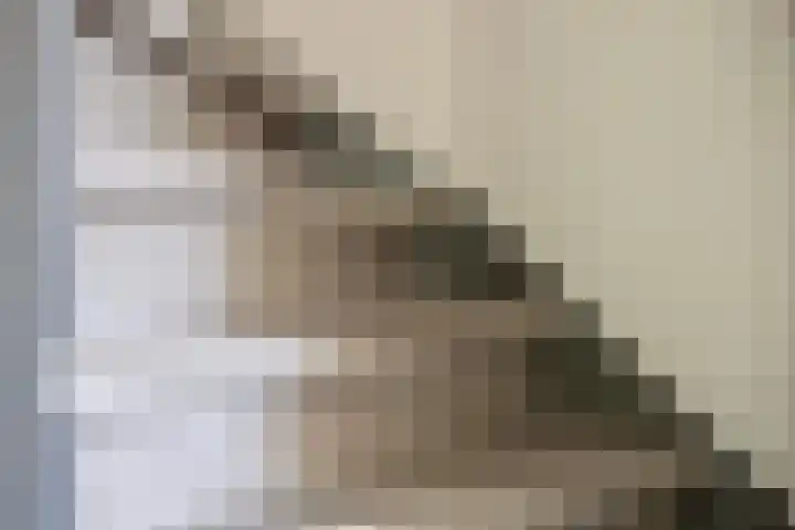 Aalscholverstraat 2 Goor thumbnail 33