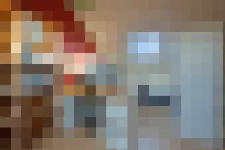 Aalscholverstraat 2 Goor thumbnail 35