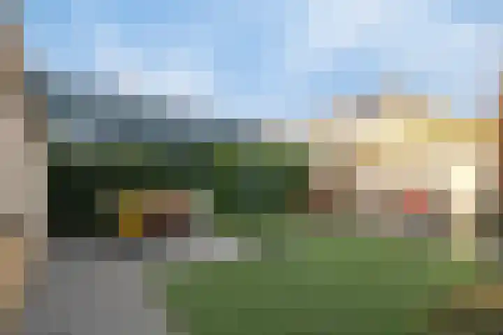 Aalscholverstraat 2 Goor thumbnail 37