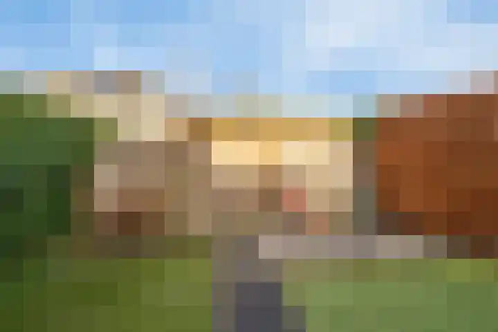 Aalscholverstraat 2 Goor thumbnail 38