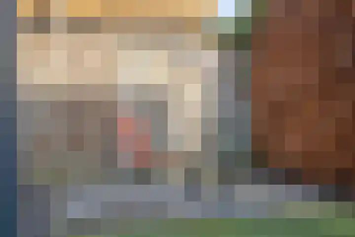 Aalscholverstraat 2 Goor thumbnail 39