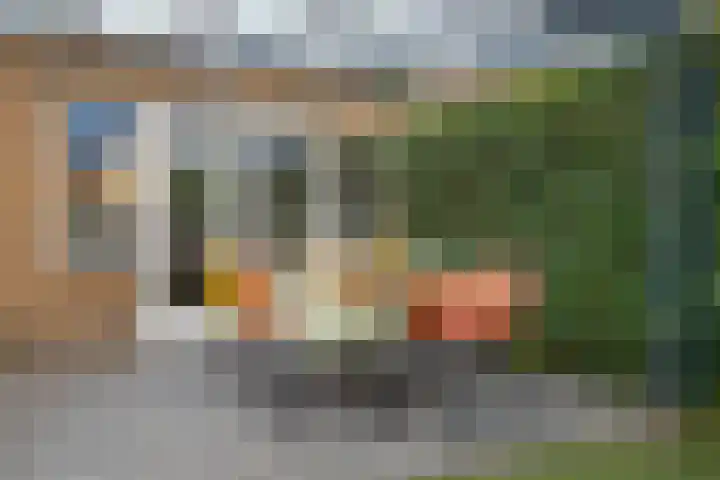 Aalscholverstraat 2 Goor thumbnail 40
