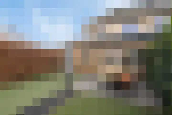 Aalscholverstraat 2 Goor thumbnail 41