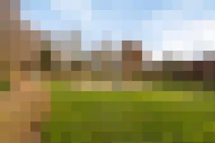 Aalscholverstraat 2 Goor thumbnail 43