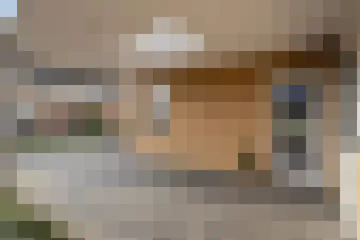 Aalscholverstraat 2 Goor thumbnail 6