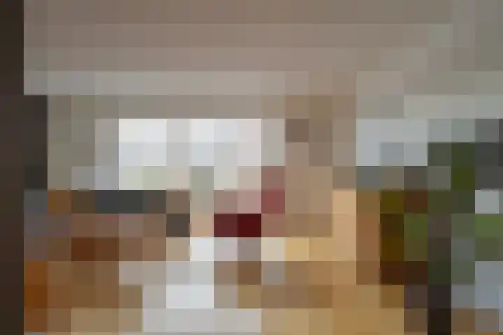 Aalscholverstraat 2 Goor thumbnail 7