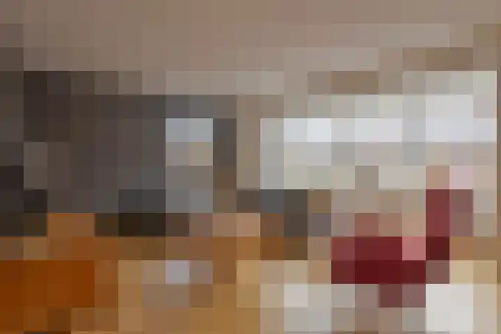 Aalscholverstraat 2 Goor thumbnail 8