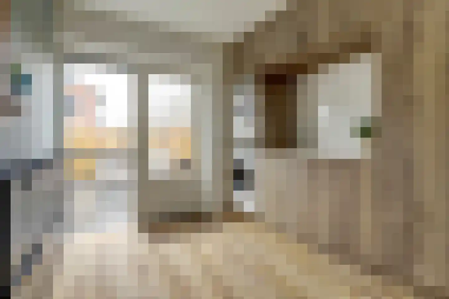 Aalscholverstraat 26 Culemborg thumbnail 12