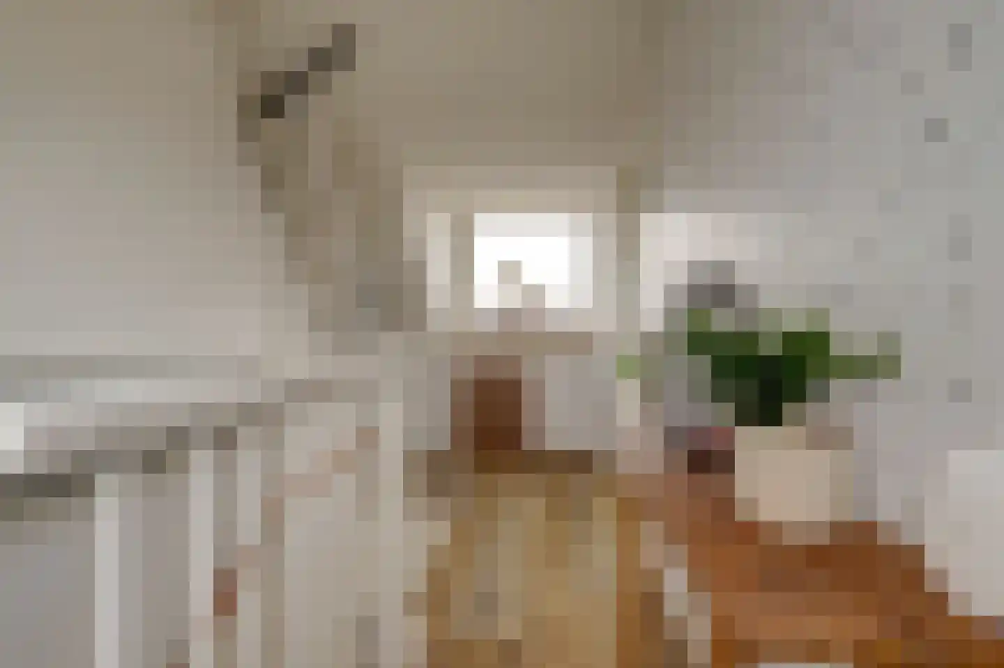 Aalscholverstraat 26 Culemborg thumbnail 28