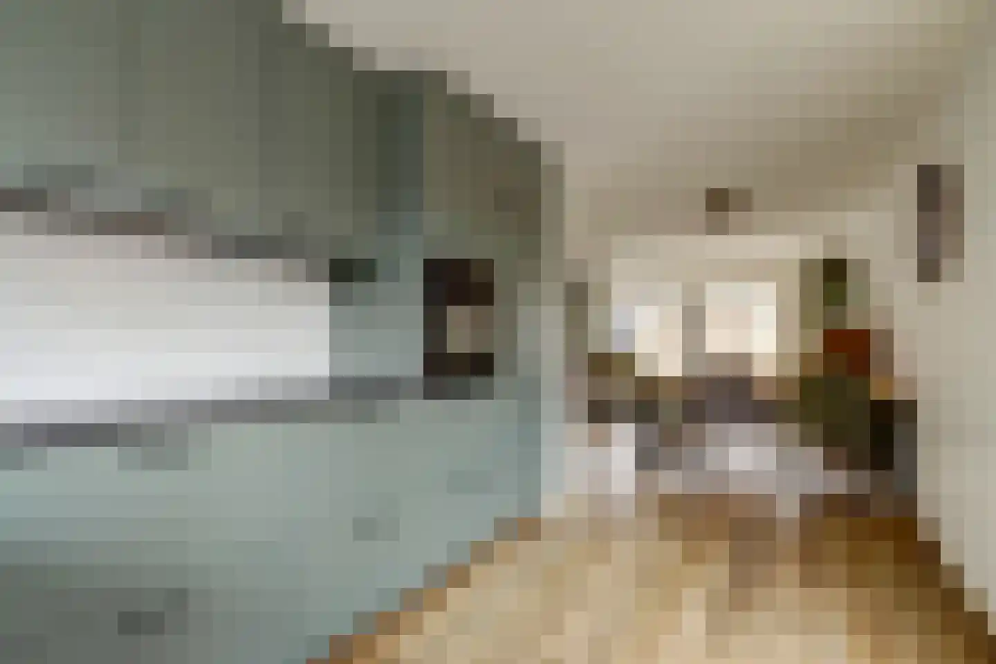 Aalscholverstraat 26 Culemborg thumbnail 9