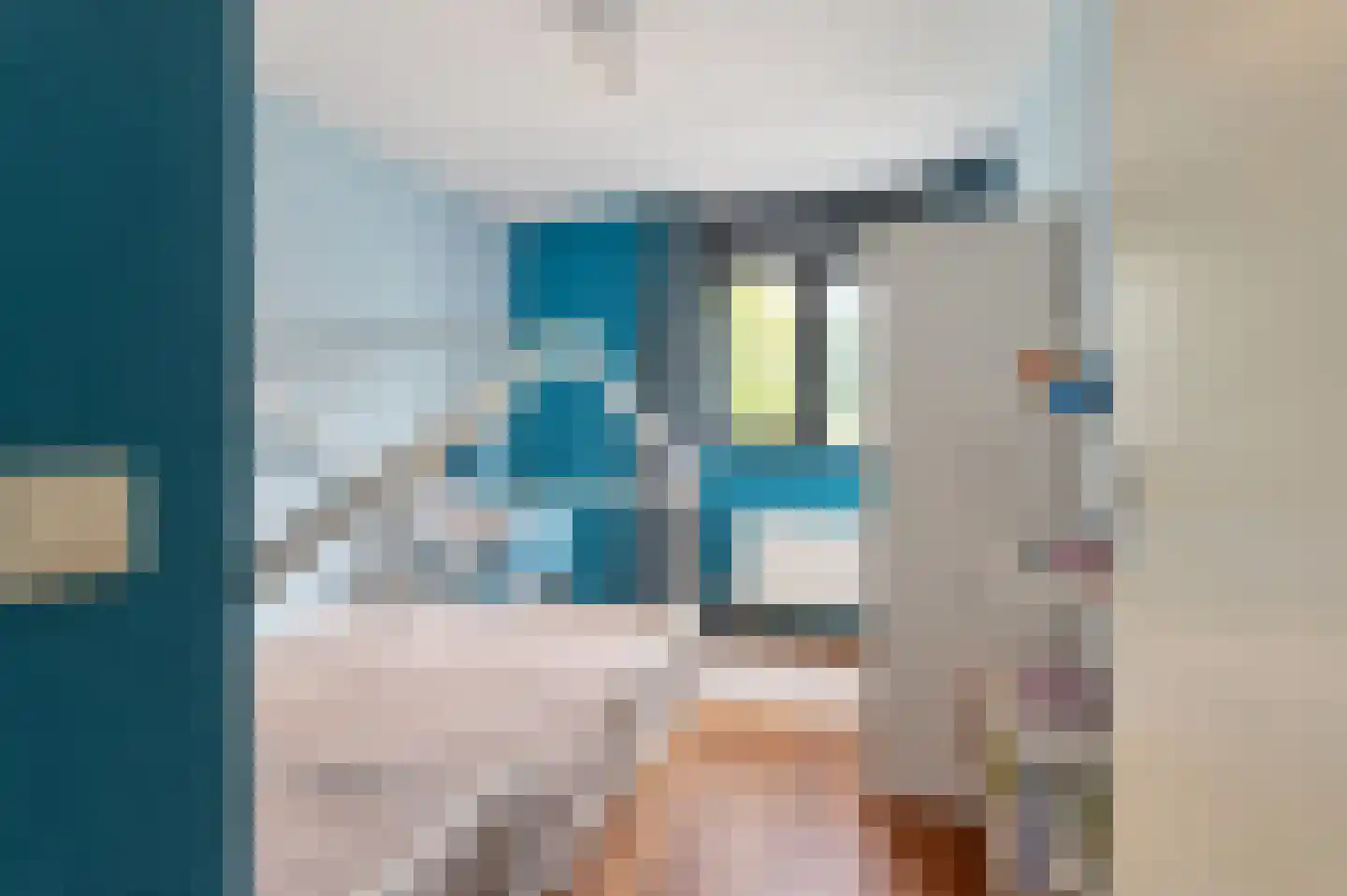 Aalscholverstraat 29 Culemborg thumbnail 30