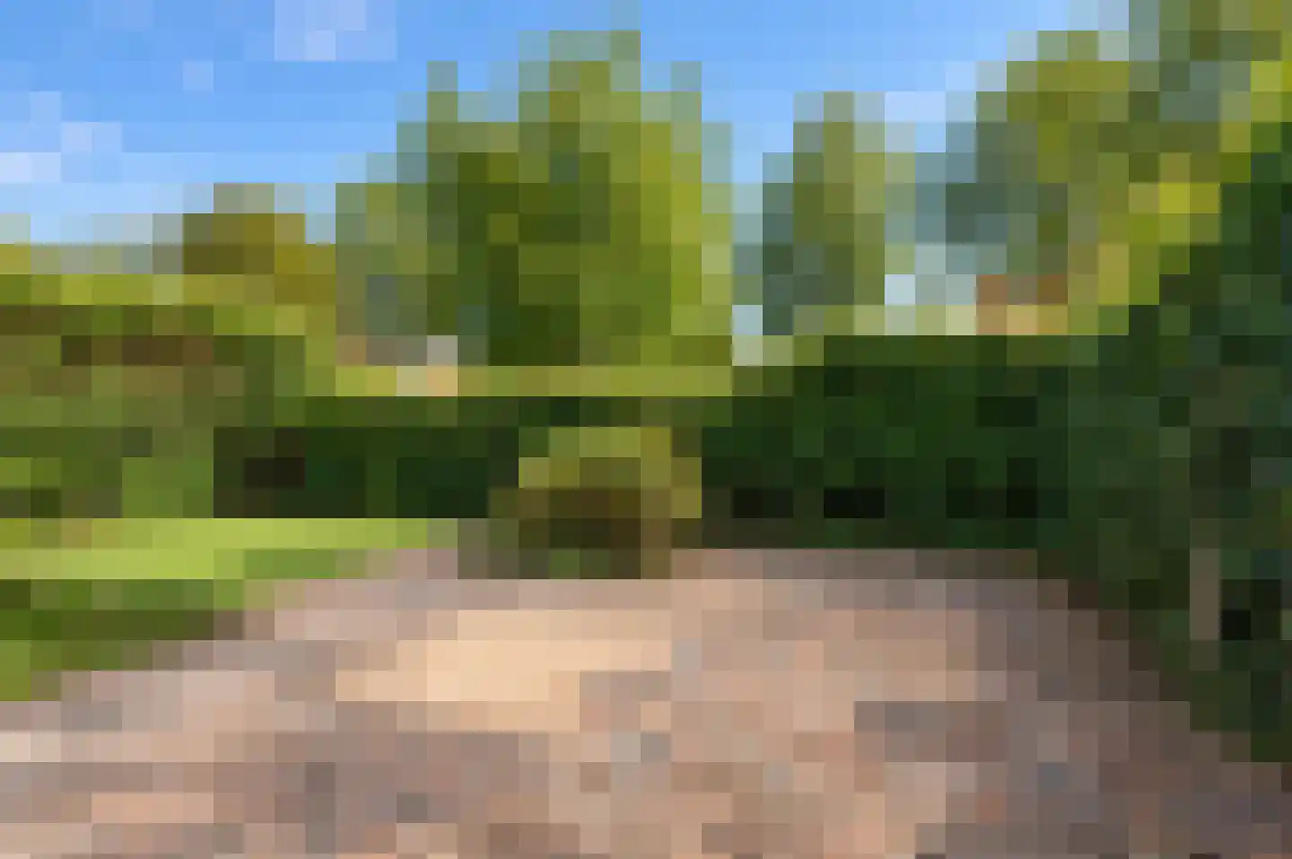 Aalscholverstraat 29 Culemborg thumbnail 5