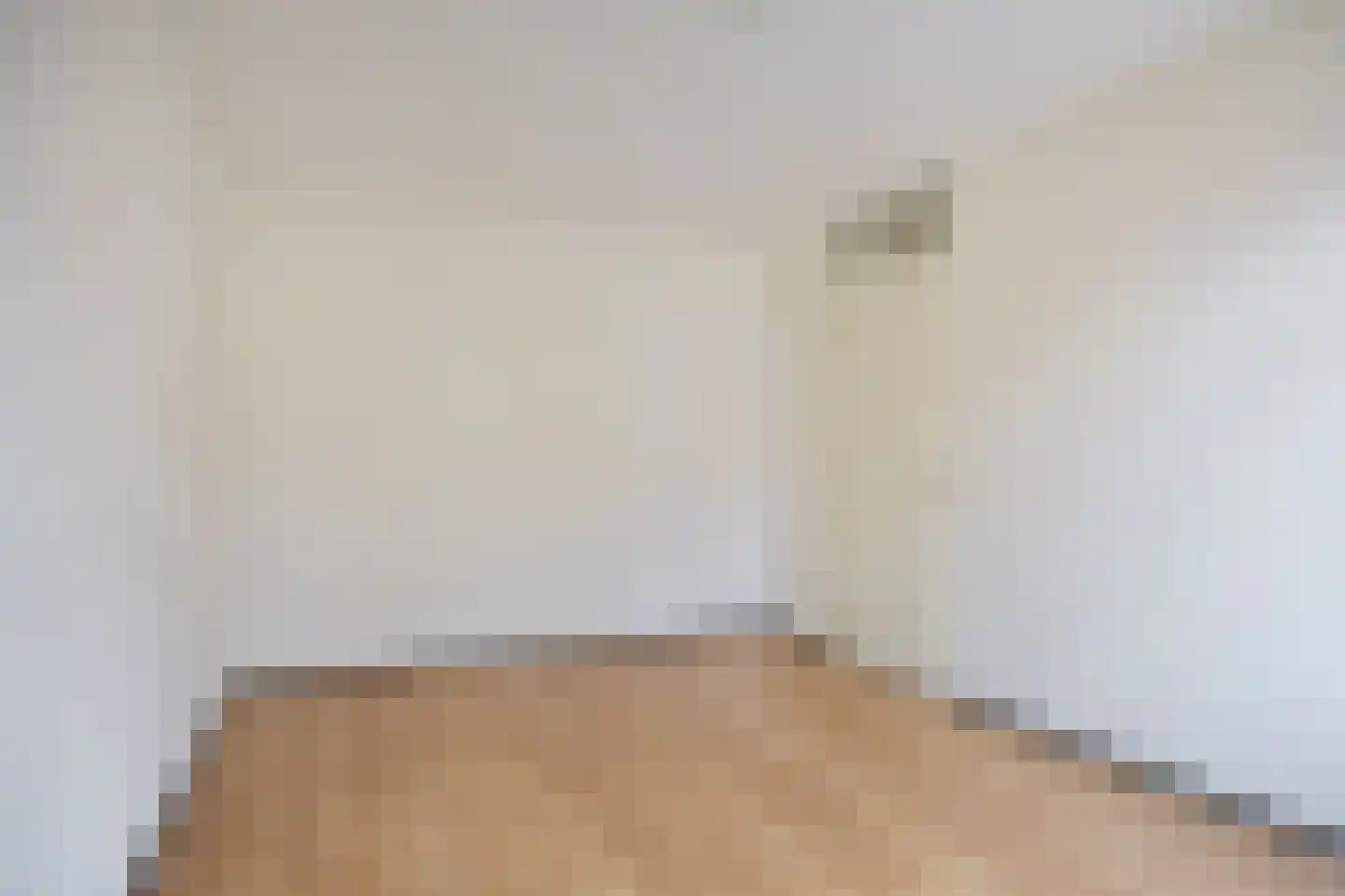 Aalscholverstraat 3 Duiven thumbnail 19
