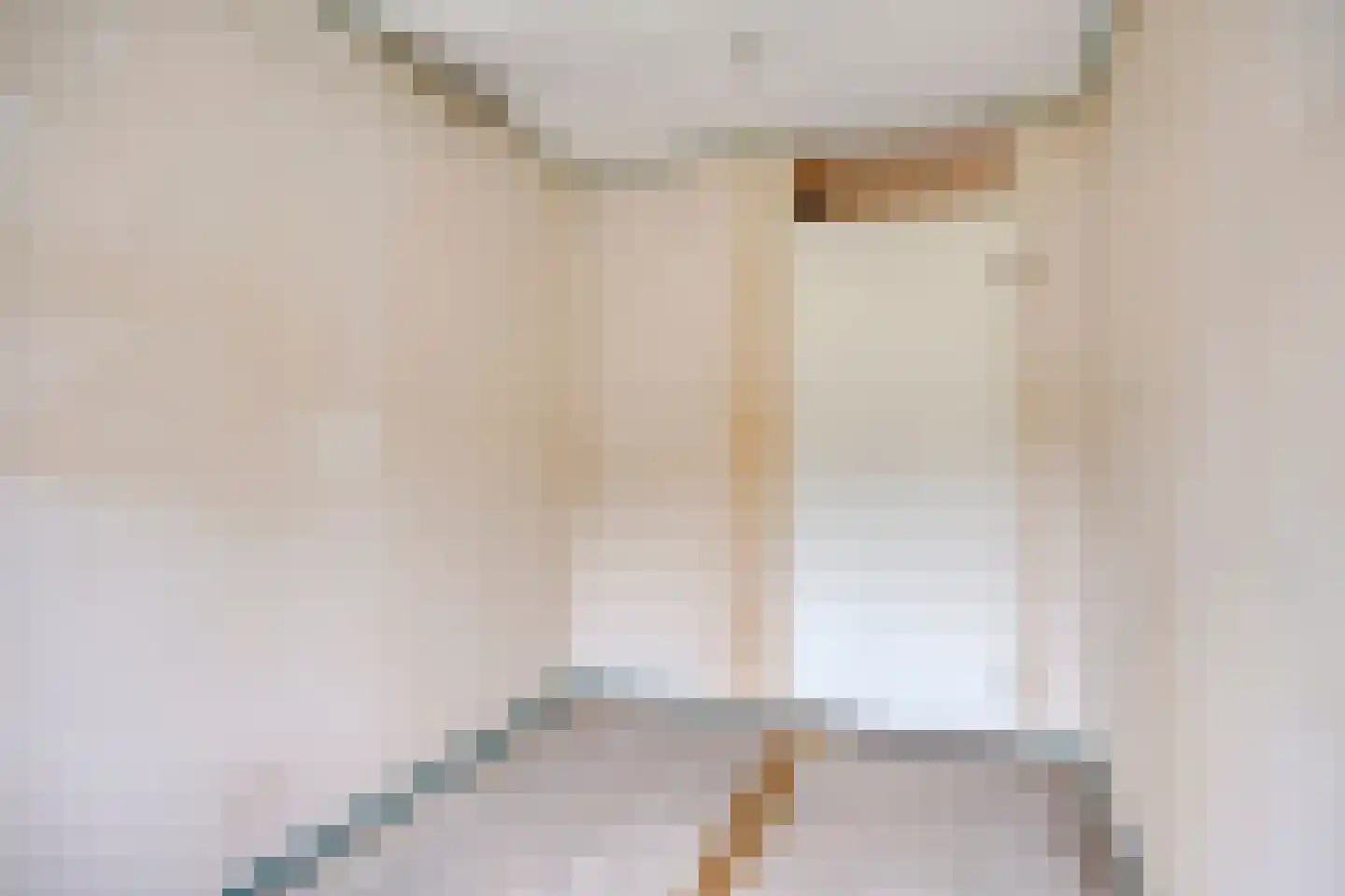 Aalscholverstraat 3 Duiven thumbnail 22