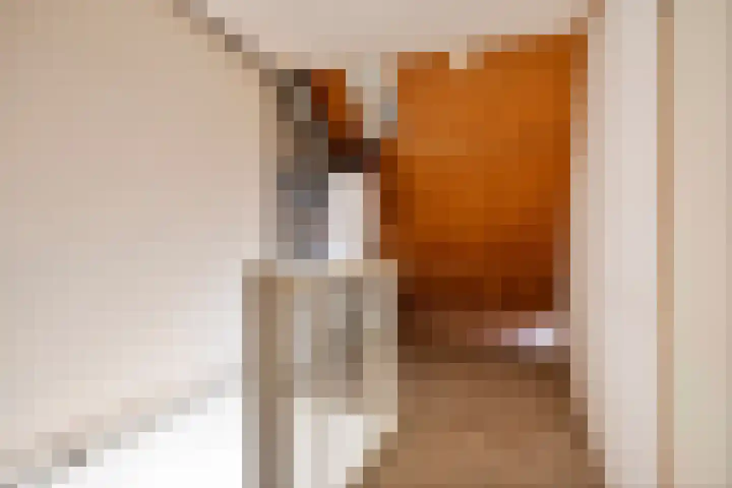Aalscholverstraat 3 Duiven thumbnail 23