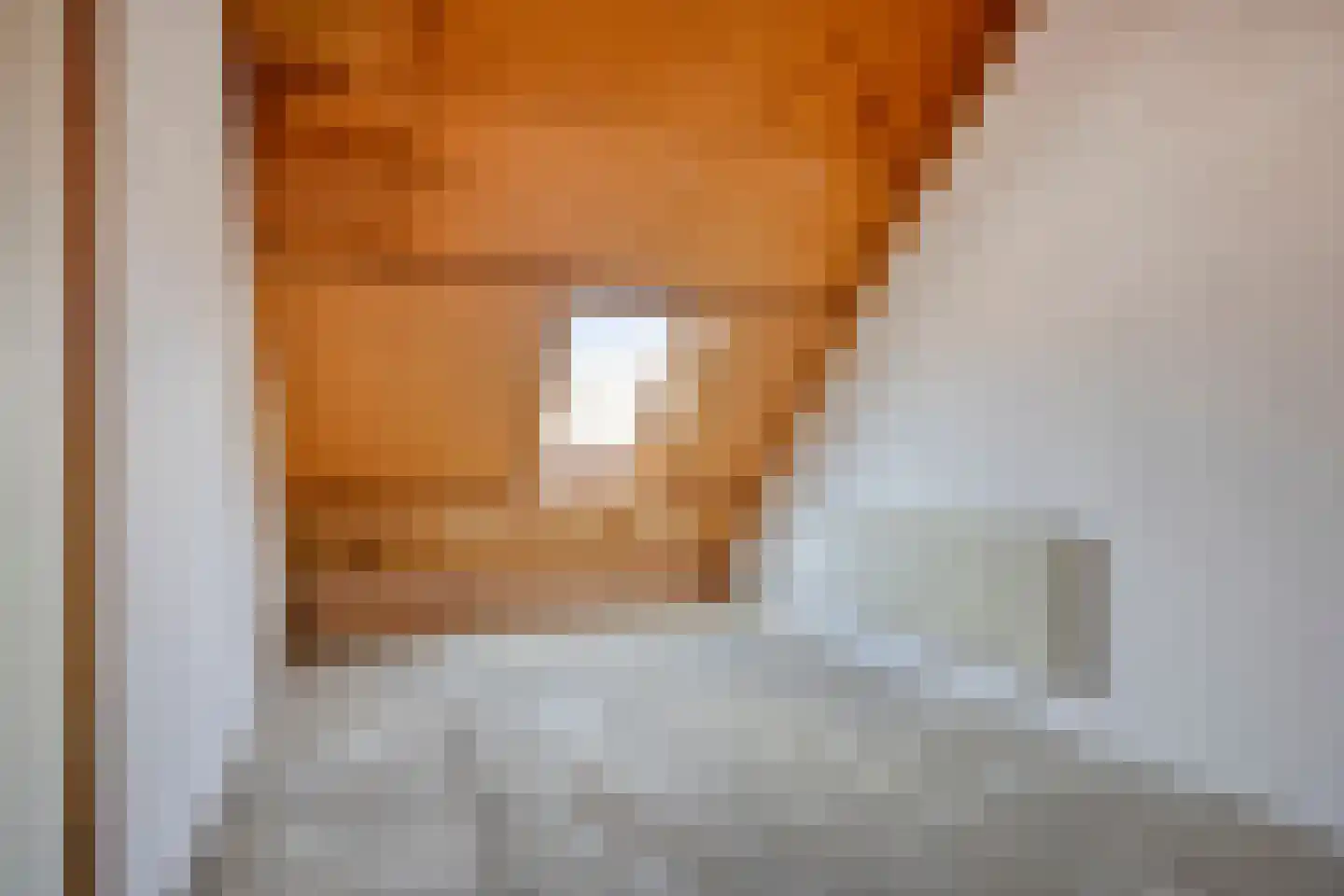 Aalscholverstraat 3 Duiven thumbnail 24
