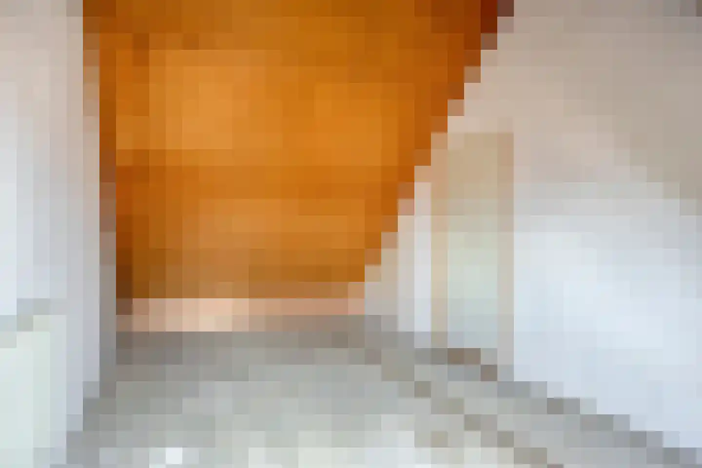 Aalscholverstraat 3 Duiven thumbnail 25