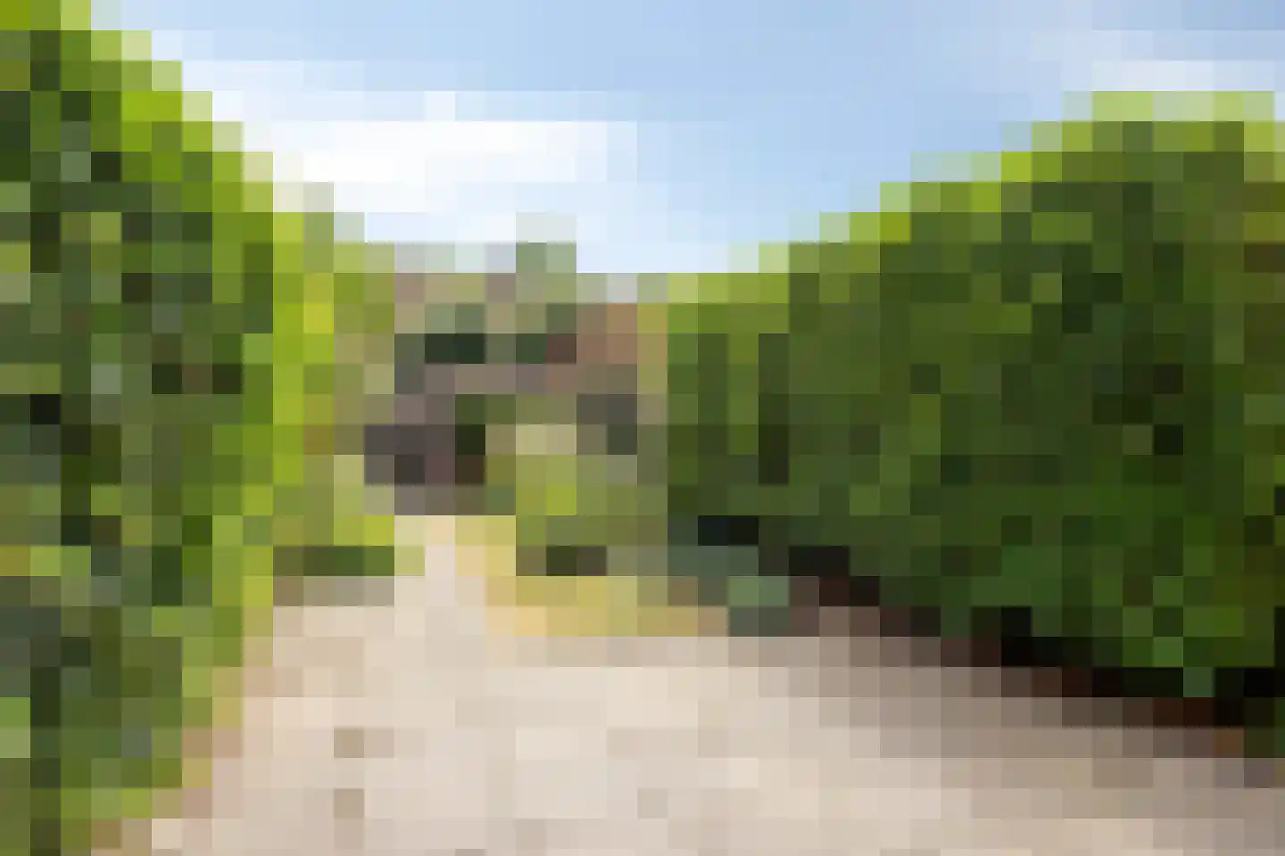 Aalscholverstraat 3 Duiven thumbnail 26