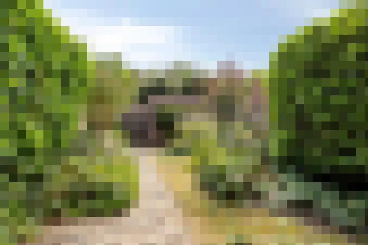 Aalscholverstraat 3 Duiven thumbnail 27