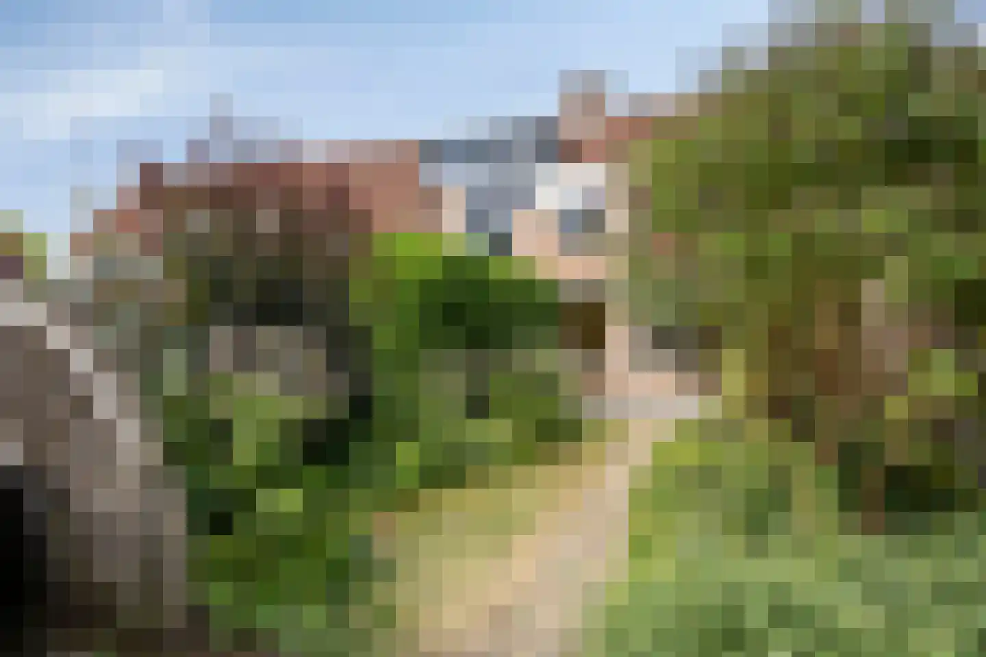 Aalscholverstraat 3 Duiven thumbnail 30