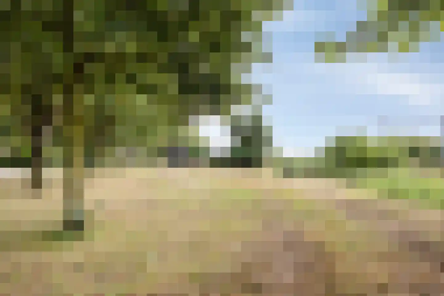 Aalscholverstraat 3 Duiven thumbnail 31