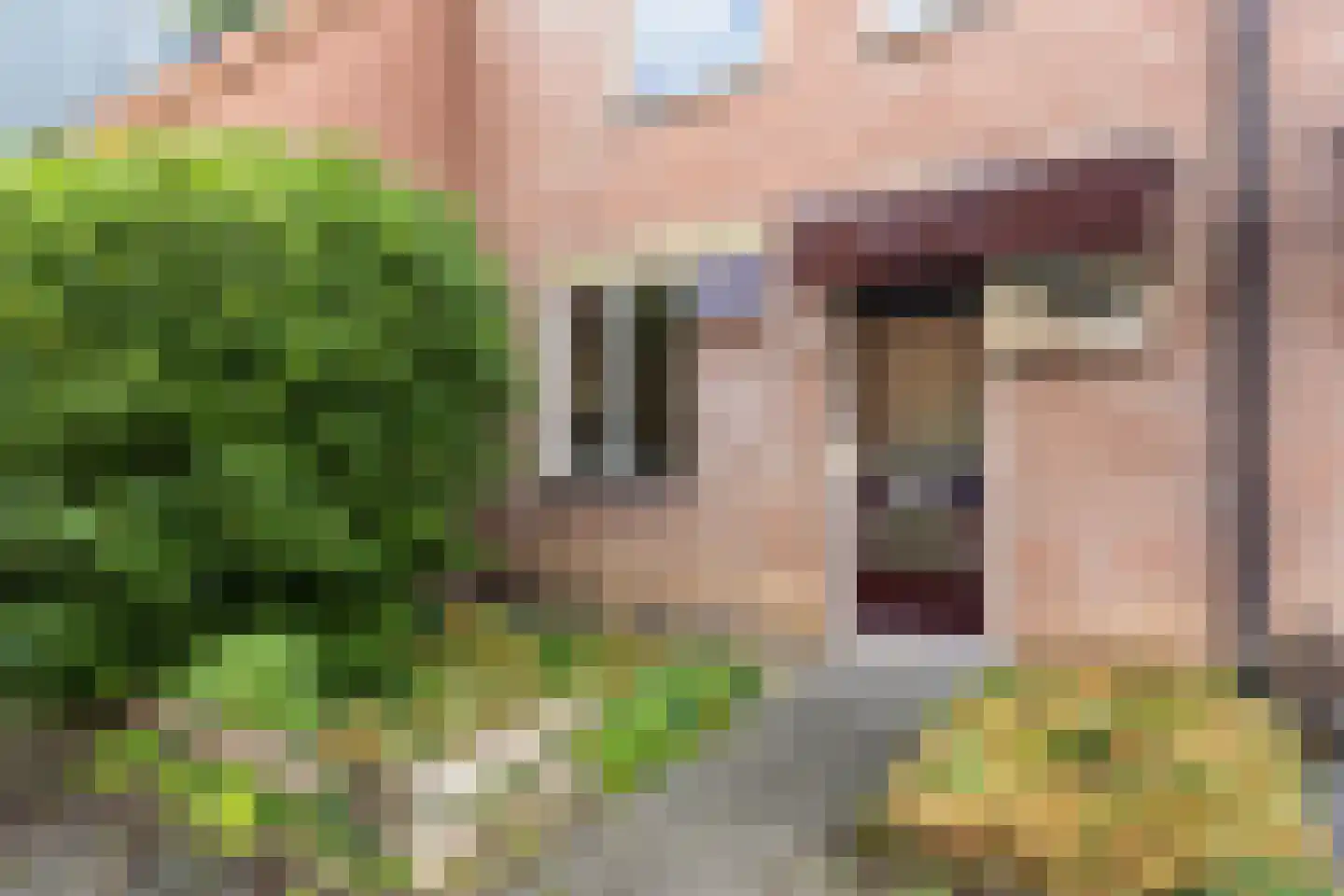 Aalscholverstraat 3 Duiven thumbnail 5