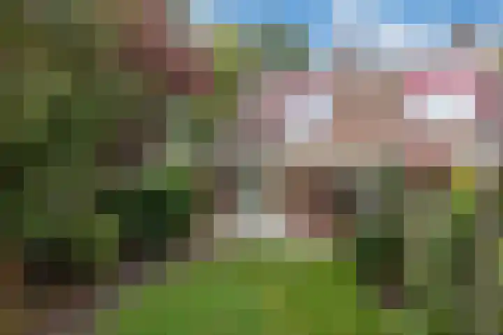 Aalscholverstraat 31 Duiven thumbnail 34