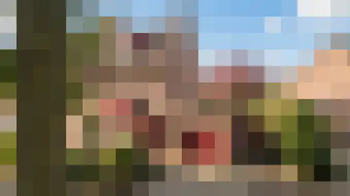 Aalscholverstraat 31 Duiven thumbnail 5