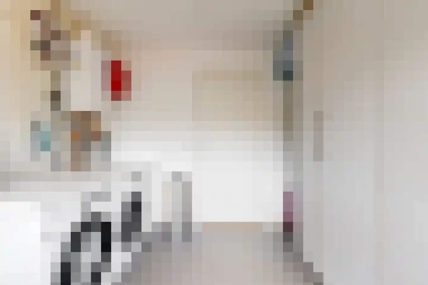 Aalscholverstraat 41 Purmerend thumbnail 25