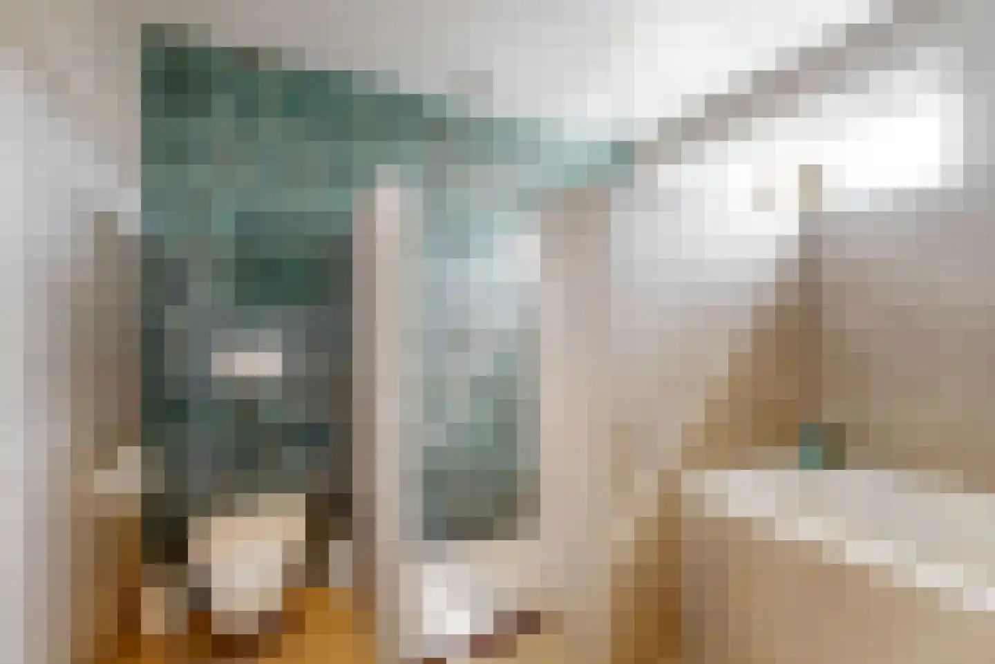 Aalscholverstraat 41 Purmerend thumbnail 27