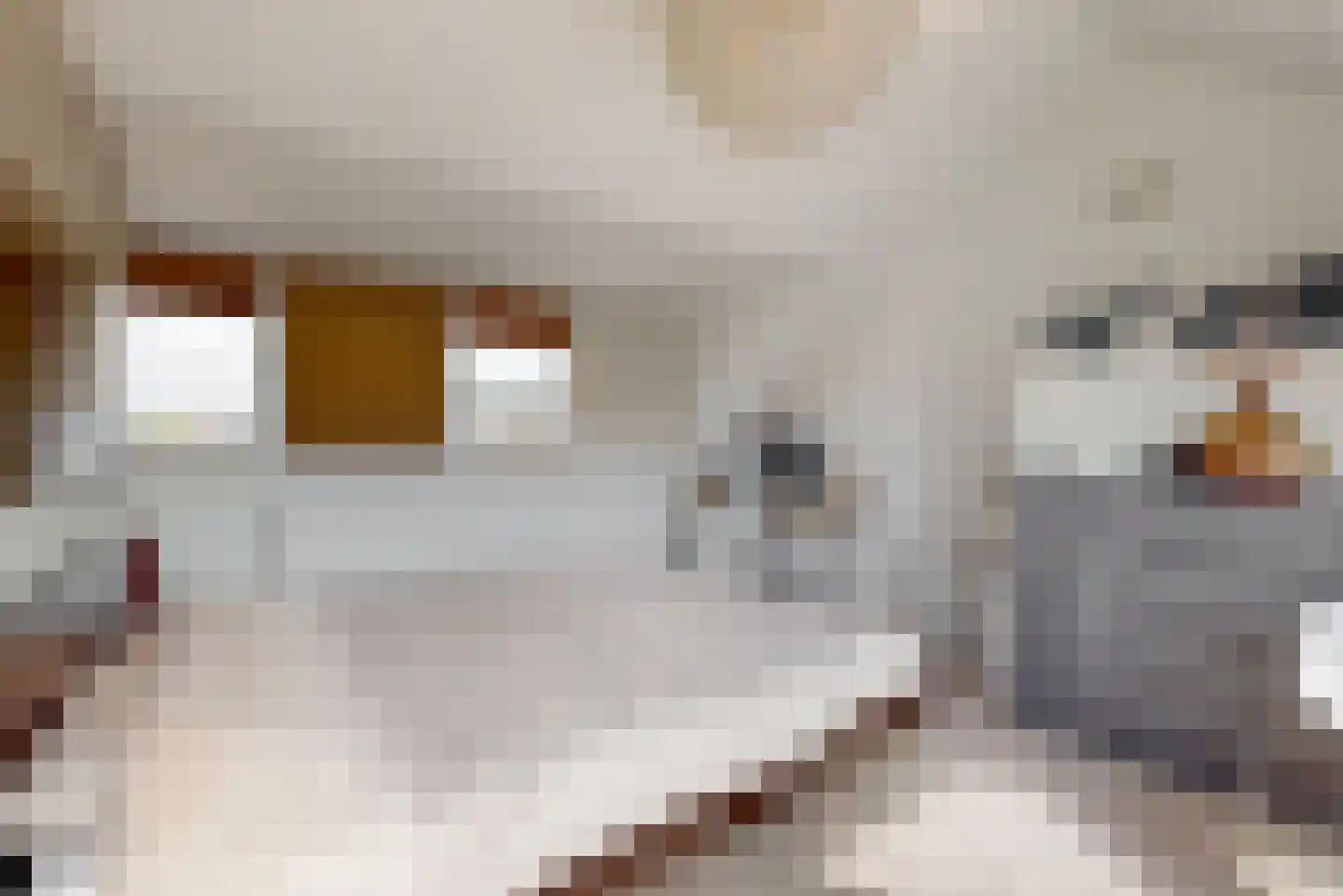Aalscholverstraat 41 Purmerend thumbnail 32