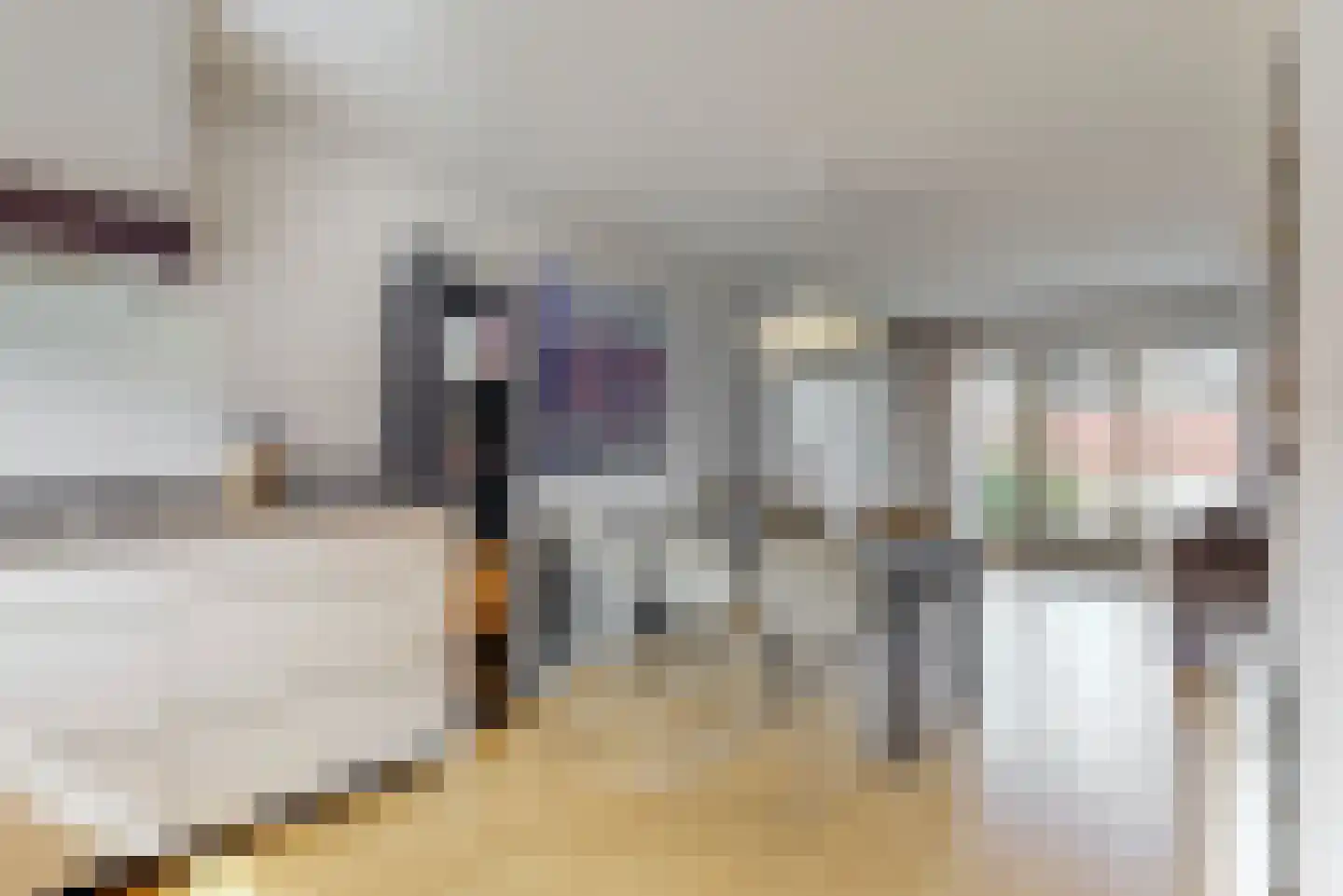 Aalscholverstraat 41 Purmerend thumbnail 7