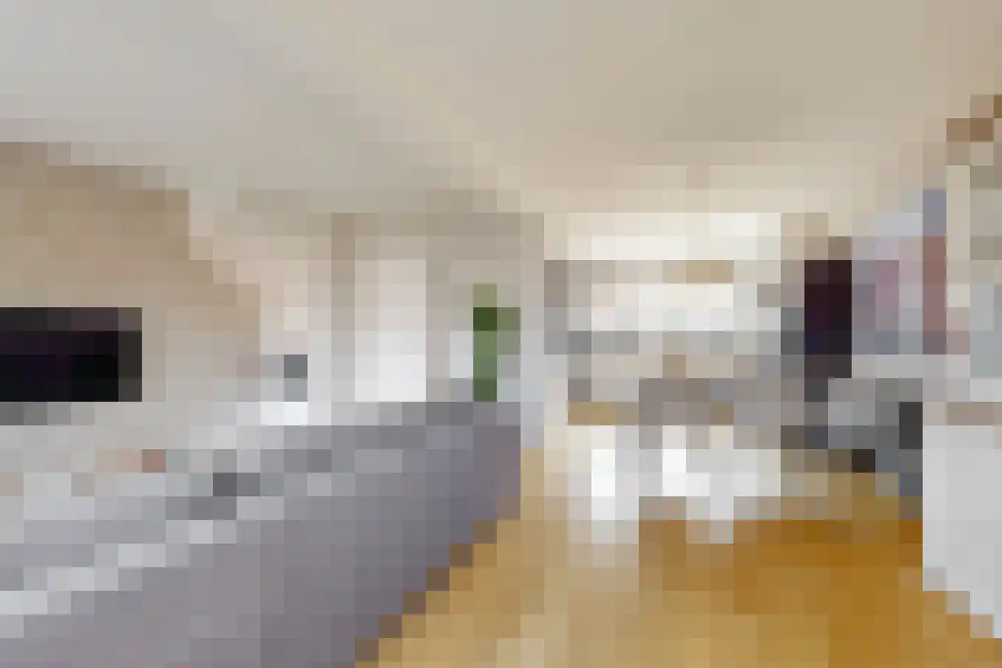 Aalscholverstraat 41 Purmerend thumbnail 8