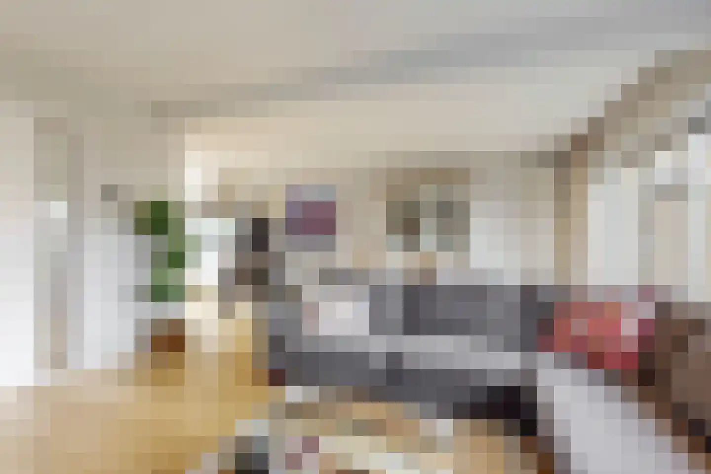 Aalscholverstraat 41 Purmerend thumbnail 9