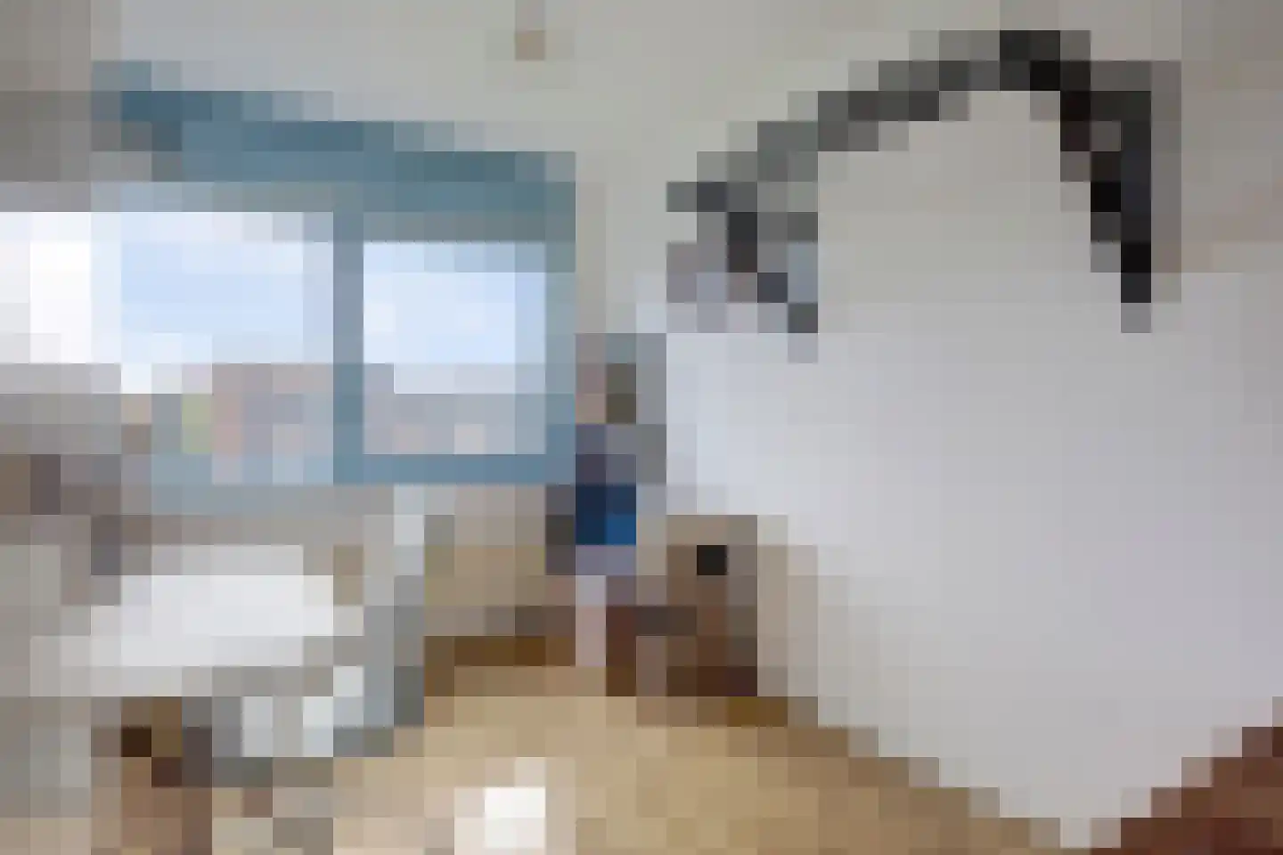 Aalscholverstraat 67 Rotterdam thumbnail 22