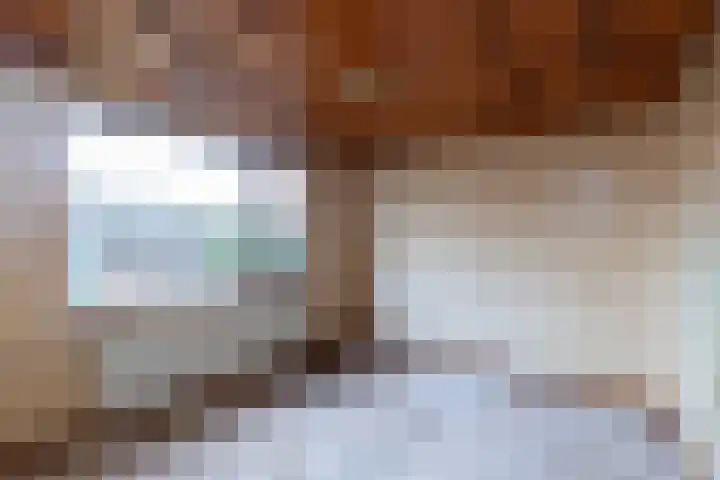 Aalscholverstraat 8 Sliedrecht thumbnail 12