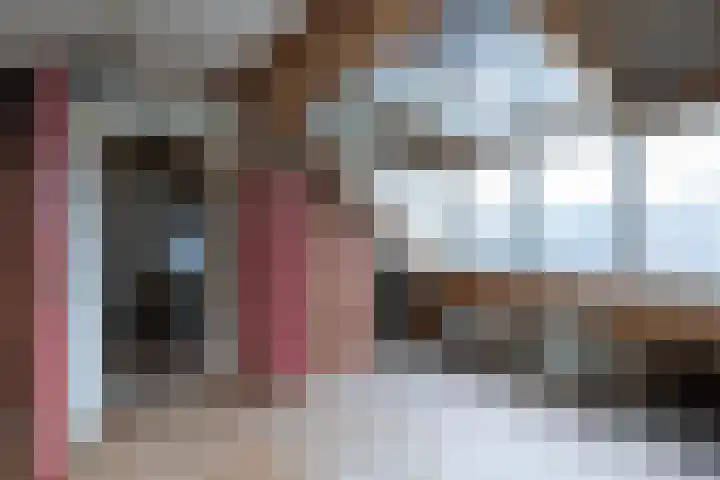 Aalscholverstraat 8 Sliedrecht thumbnail 16