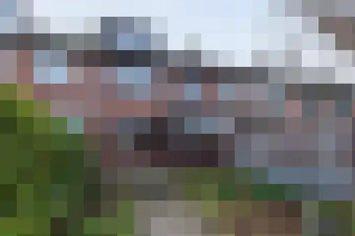 Aalscholverstraat 8 Sliedrecht thumbnail 18